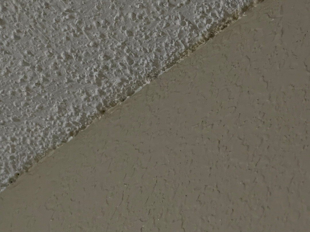 Comfort Inn & Suites Shakopee Inn主图