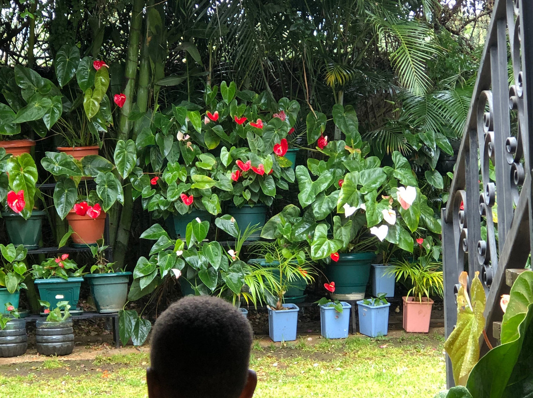 Christina House主图