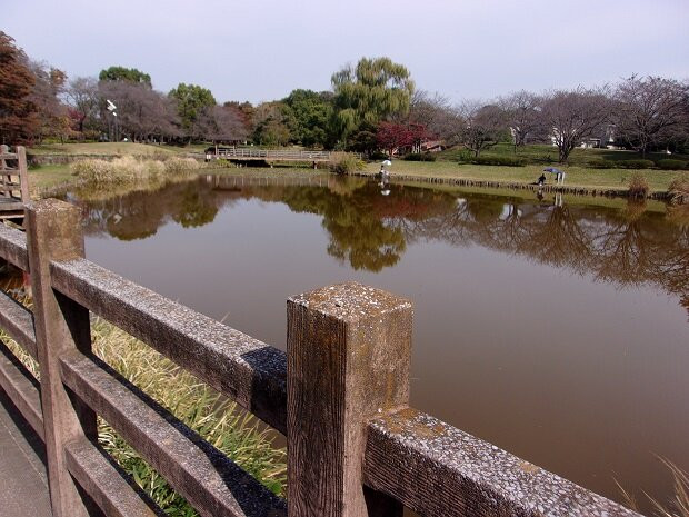 Saijonuma Park-莲田市必去景点
