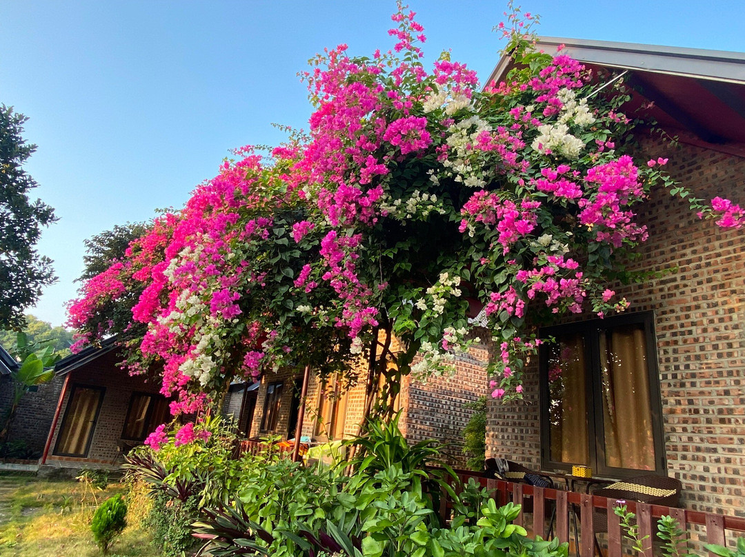 Cat Ba Serena Homestay And Swimming Pool主图