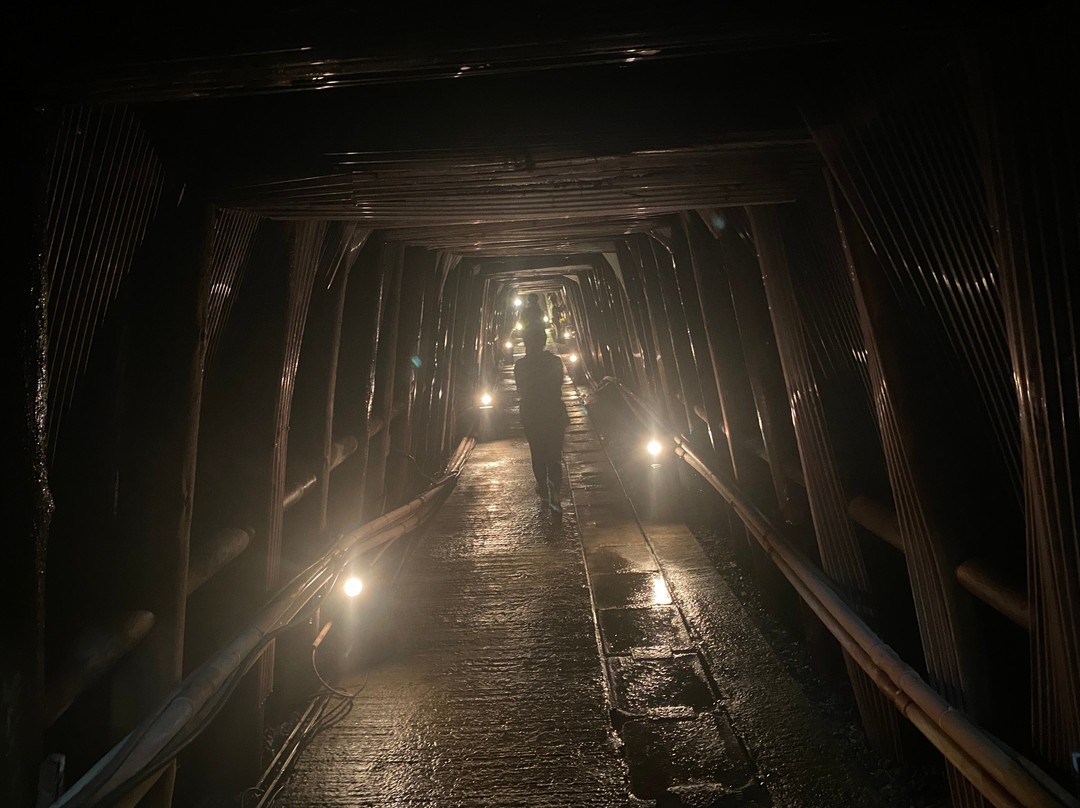 Ashio Dozan-日光市必去景点