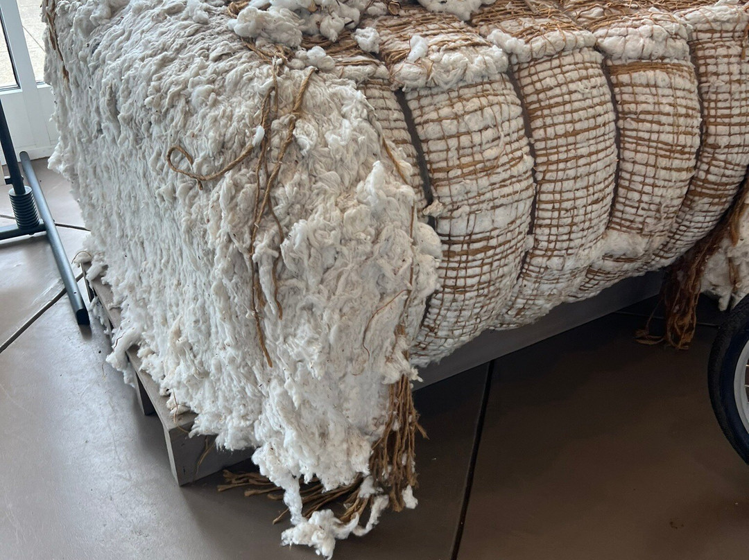 Albany Welcome Center-奥尔巴尼必去景点