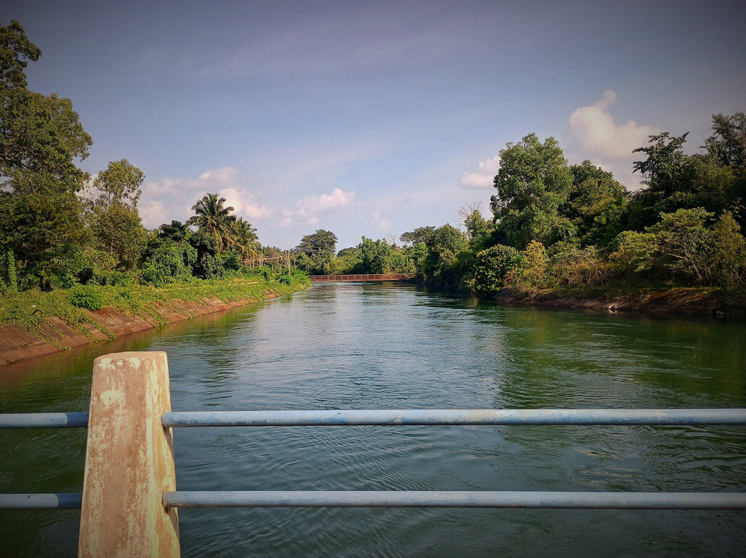 Bhadra River Project Dam景点图片