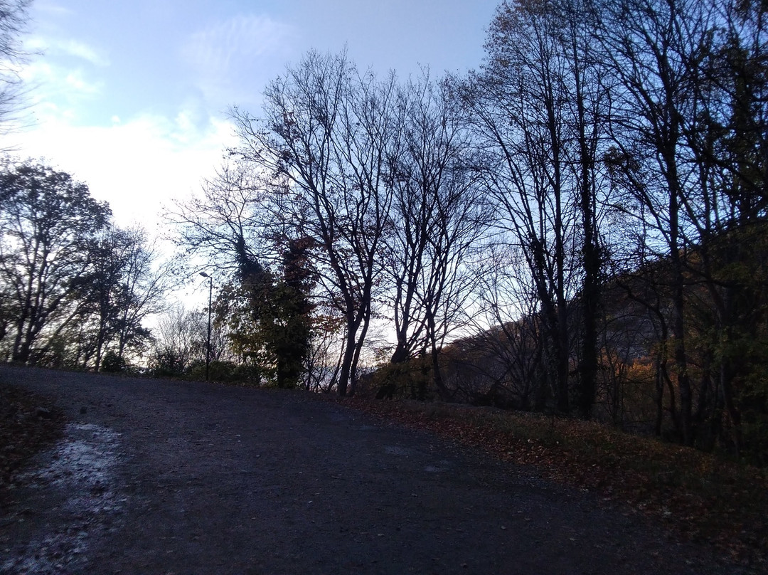 Kintsvisi Monastery-Kintsvisi必去景点