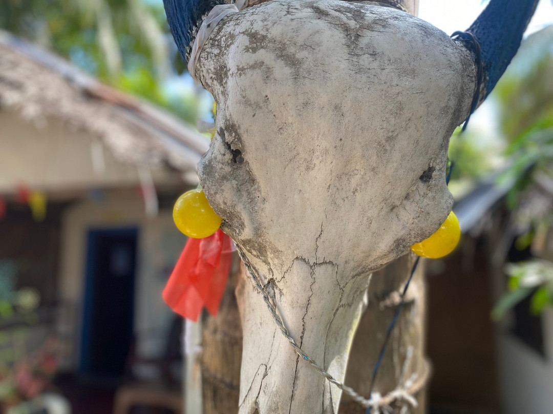 Star Rest Surf Camp主图