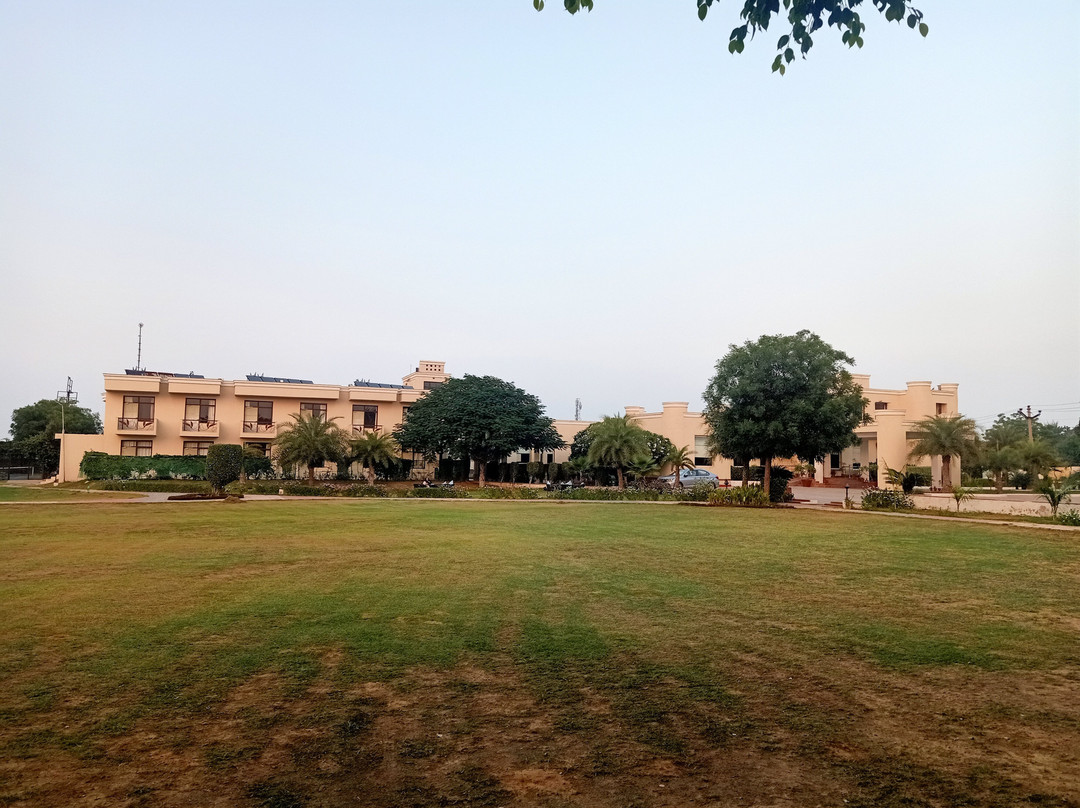 TreeHouse Sunrise Resort & Caravan Park主图