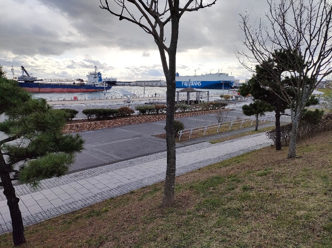 Kirakira Park景点图片