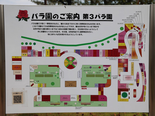 Ina Choseishiko Memorial Park-伊奈町必去景点