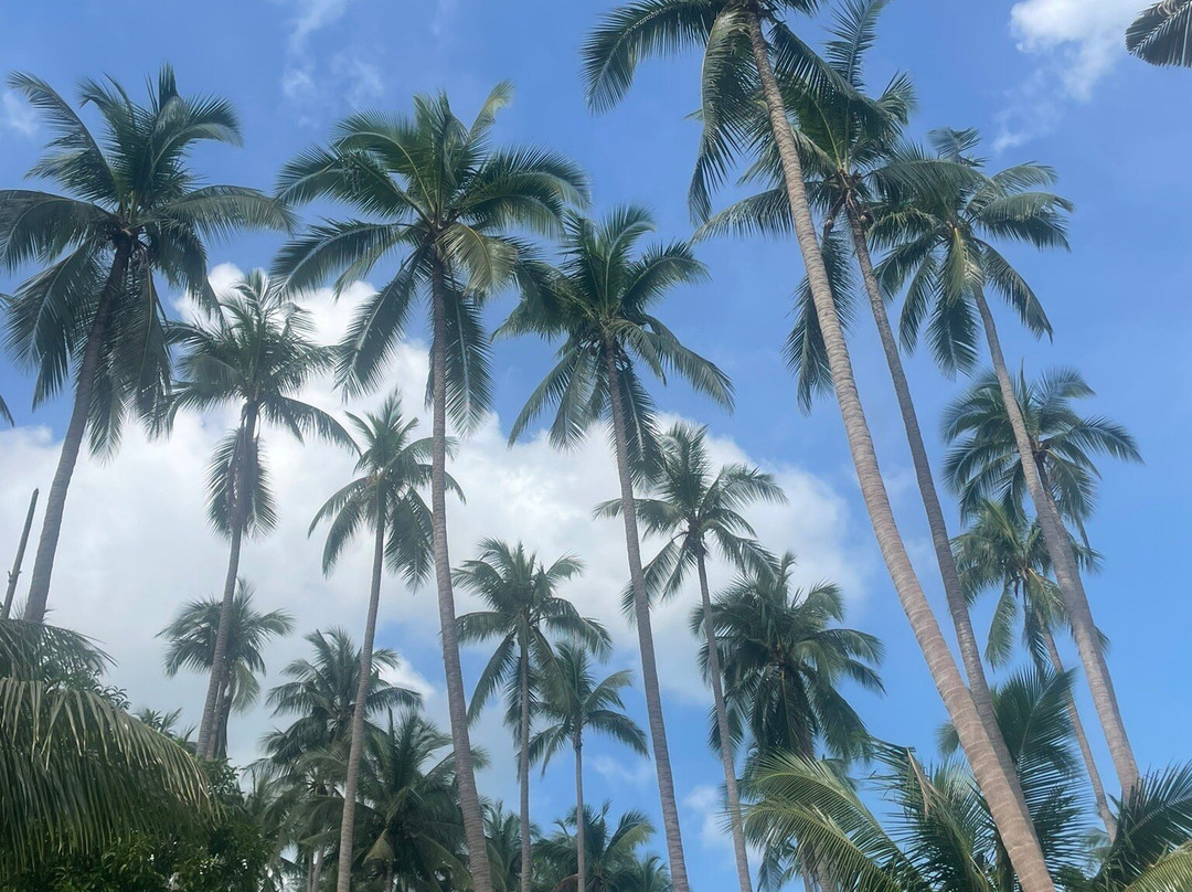 Samui Quad Motor-湄南必去景点