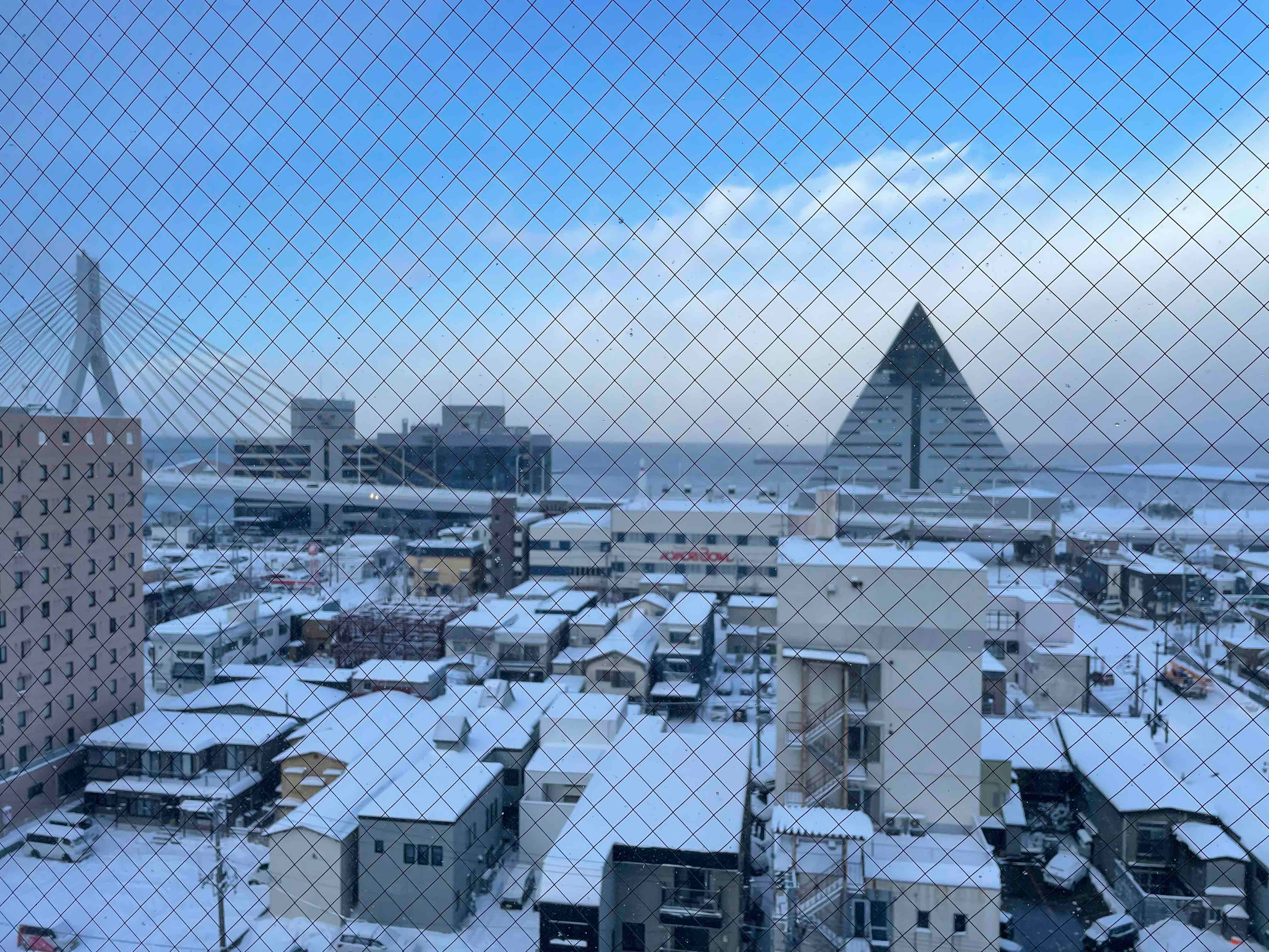 Daiwa Roynet Hotel Aomori-酒店景观