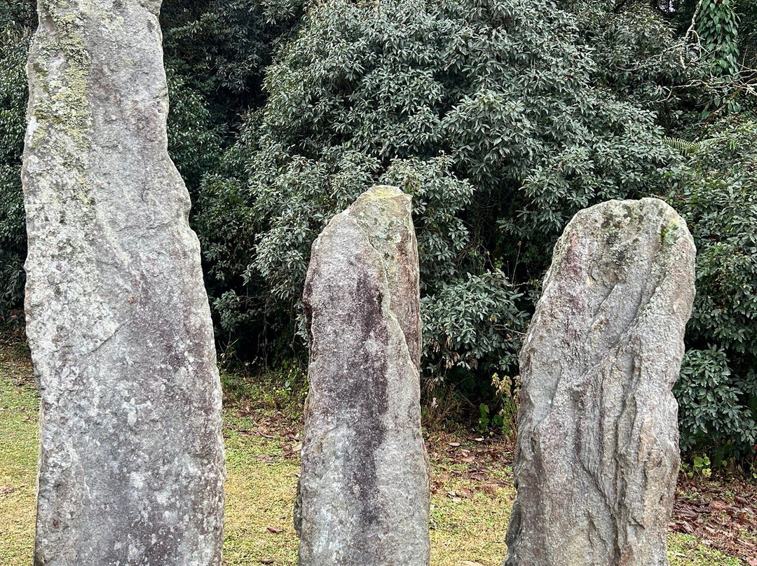 Mawphlang Sacred Forest景点图片