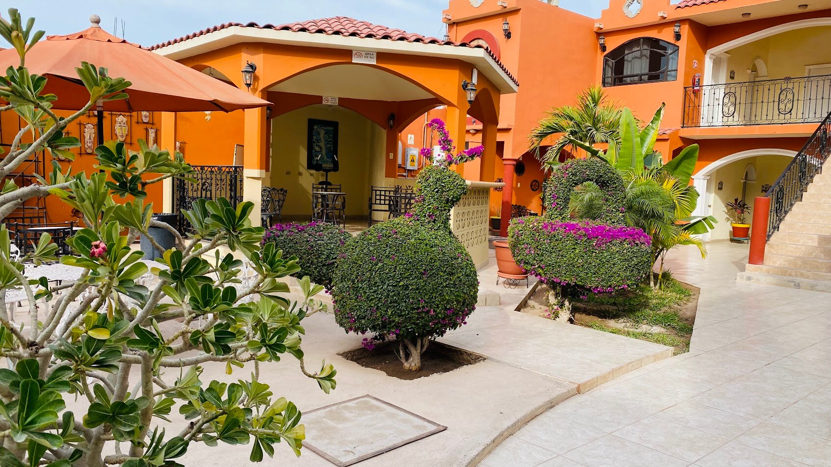Hotel Oasis-泳池