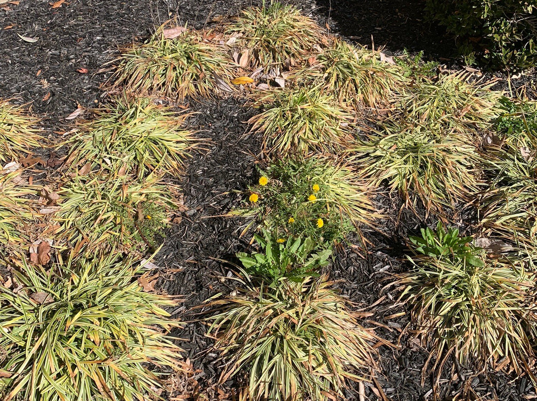 Courtyard by Marriott Jackson主图