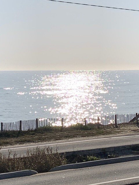 Golden Magnolia Resort & Spa主图