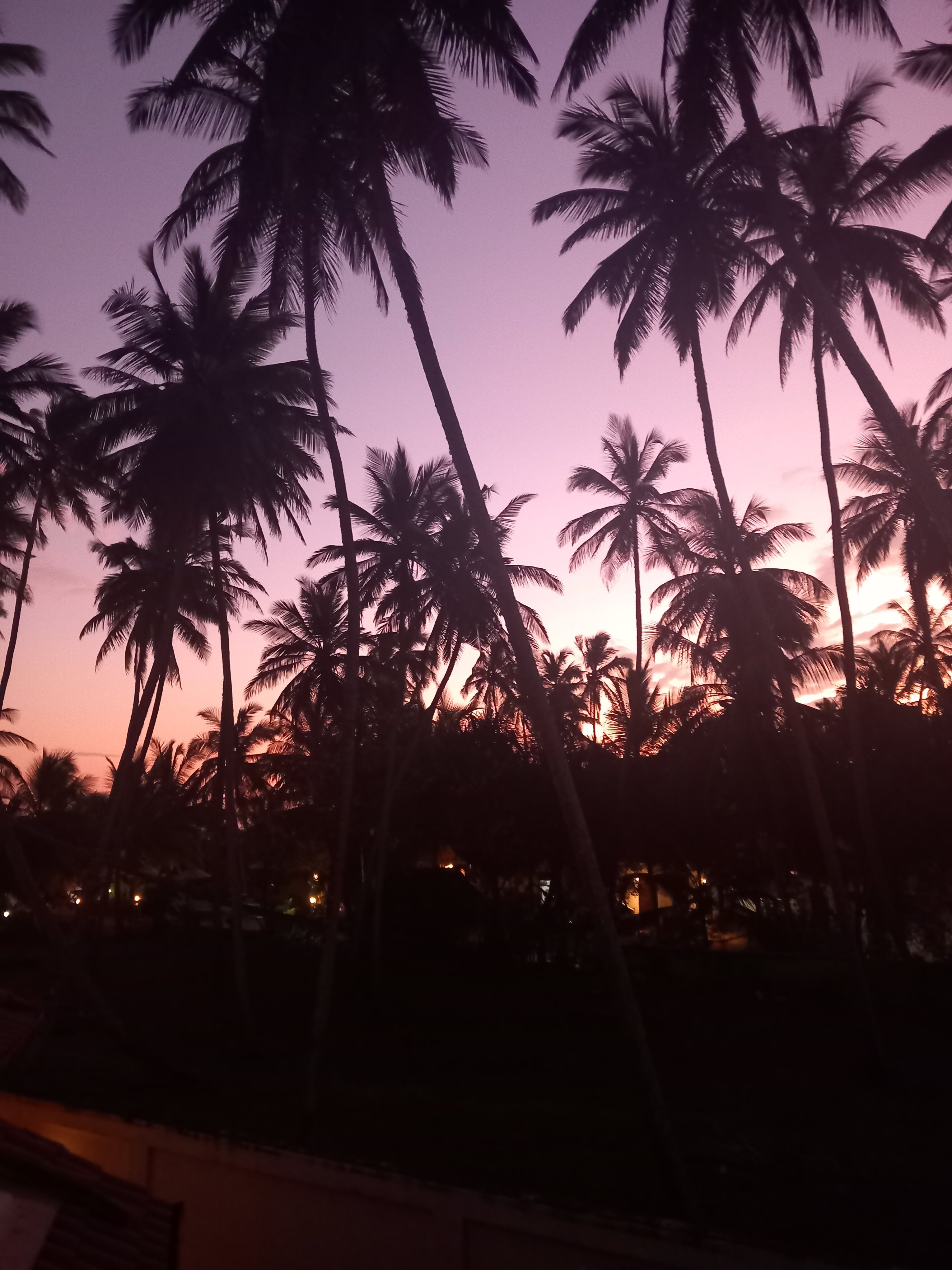 Lanka Beach Bungalows-官方