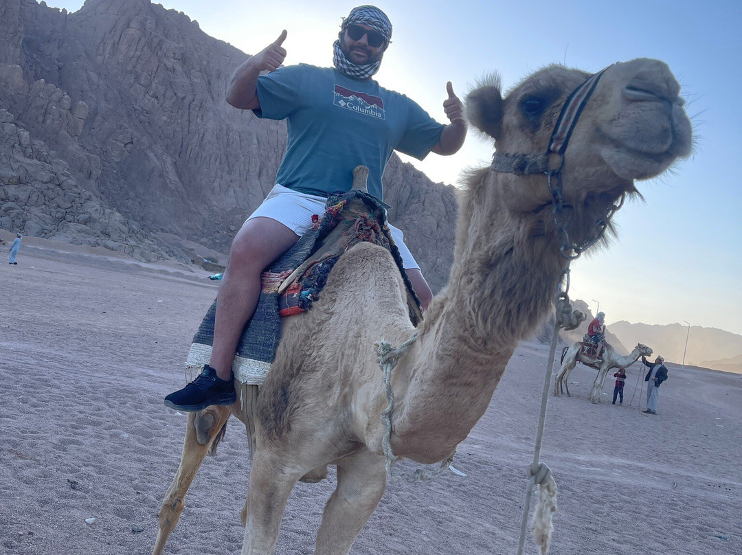 Intours Egypt Sharm Elsheikh-沙姆沙伊赫必去景点