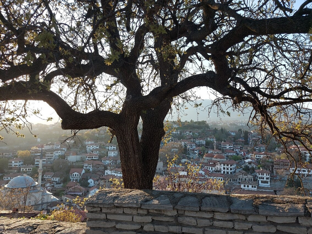 Gulevi Safranbolu Hotel主图