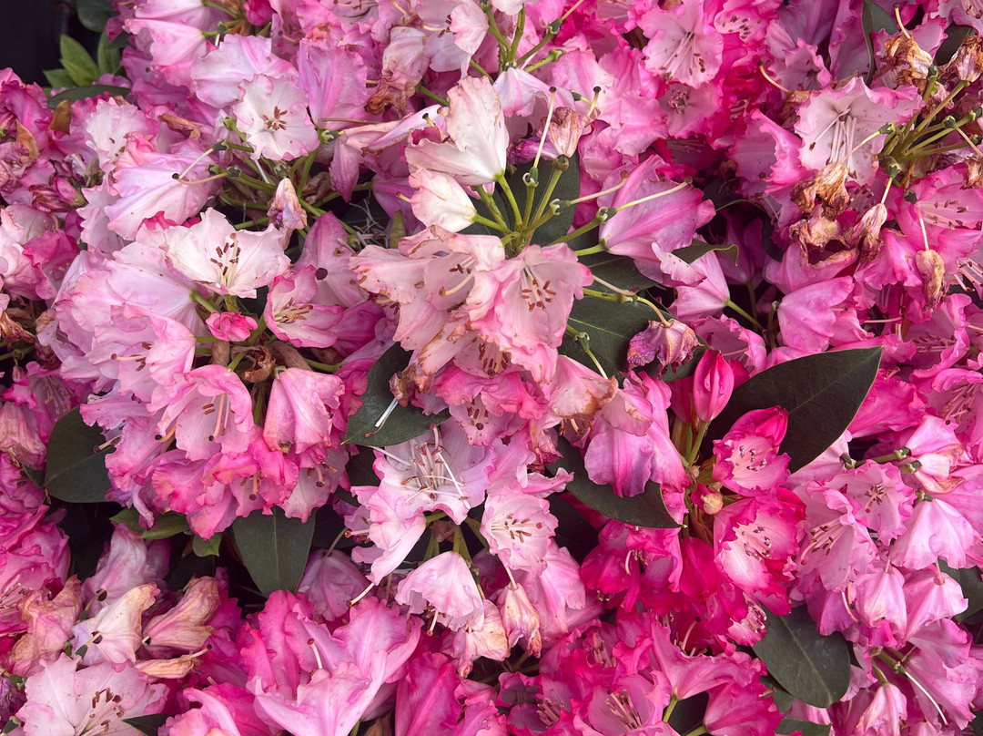 Chateau de Bourrassol主图