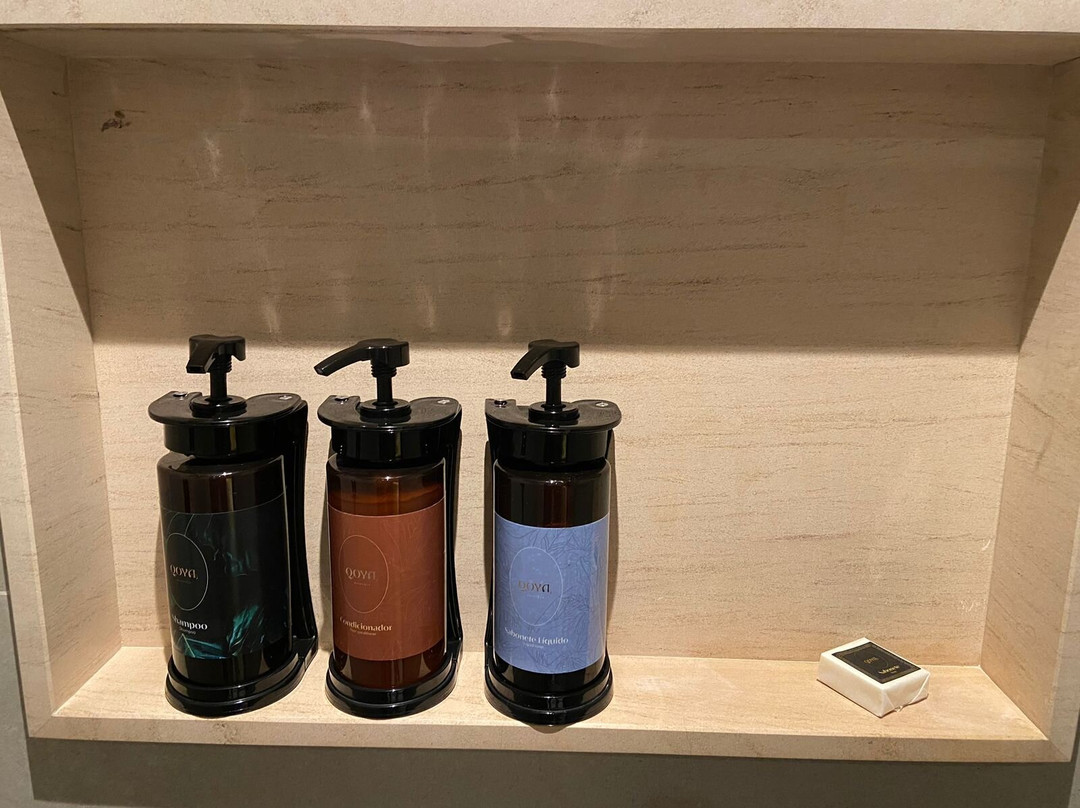 Qoya Hotel Curitiba, Curio Collection by Hilton主图