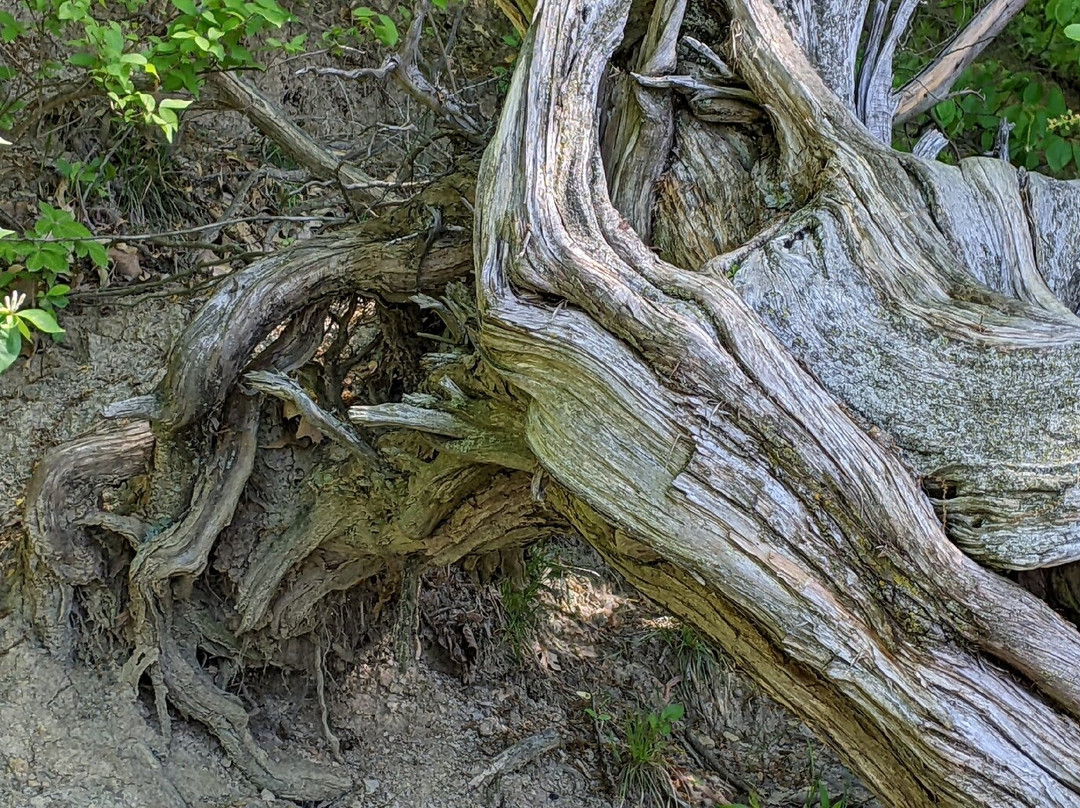Buffalo Rock State Park-渥太华必去景点