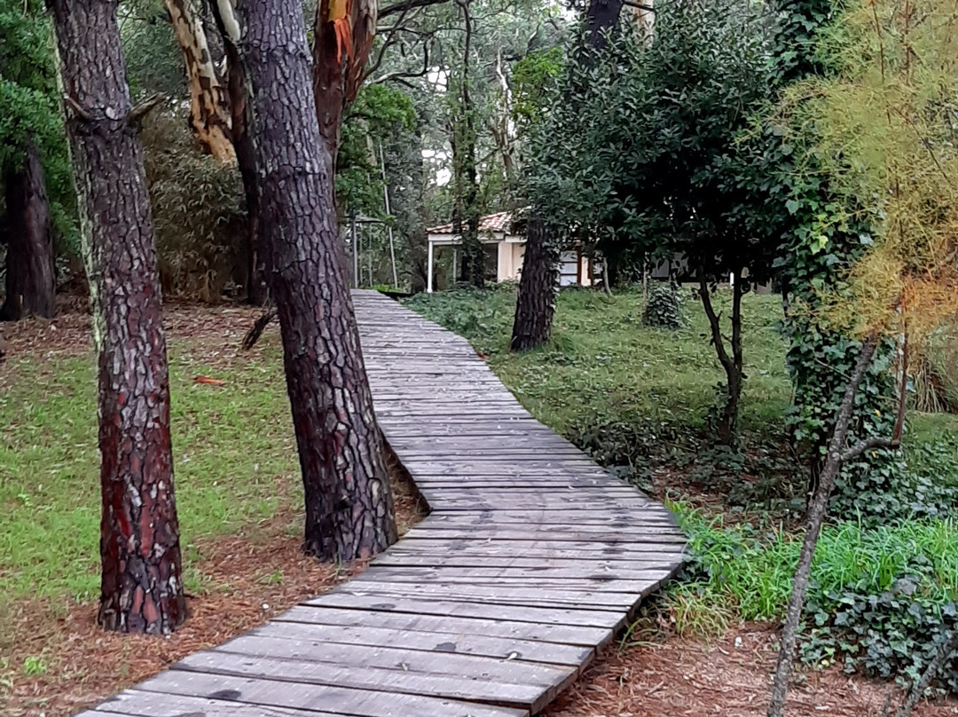 Pinar del Norte景点图片