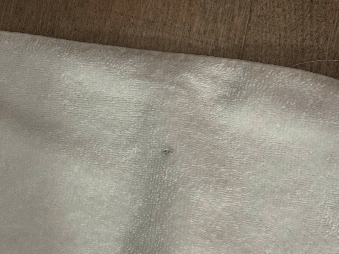 Microtel Inn & Suites By Wyndham Hot Springs主图