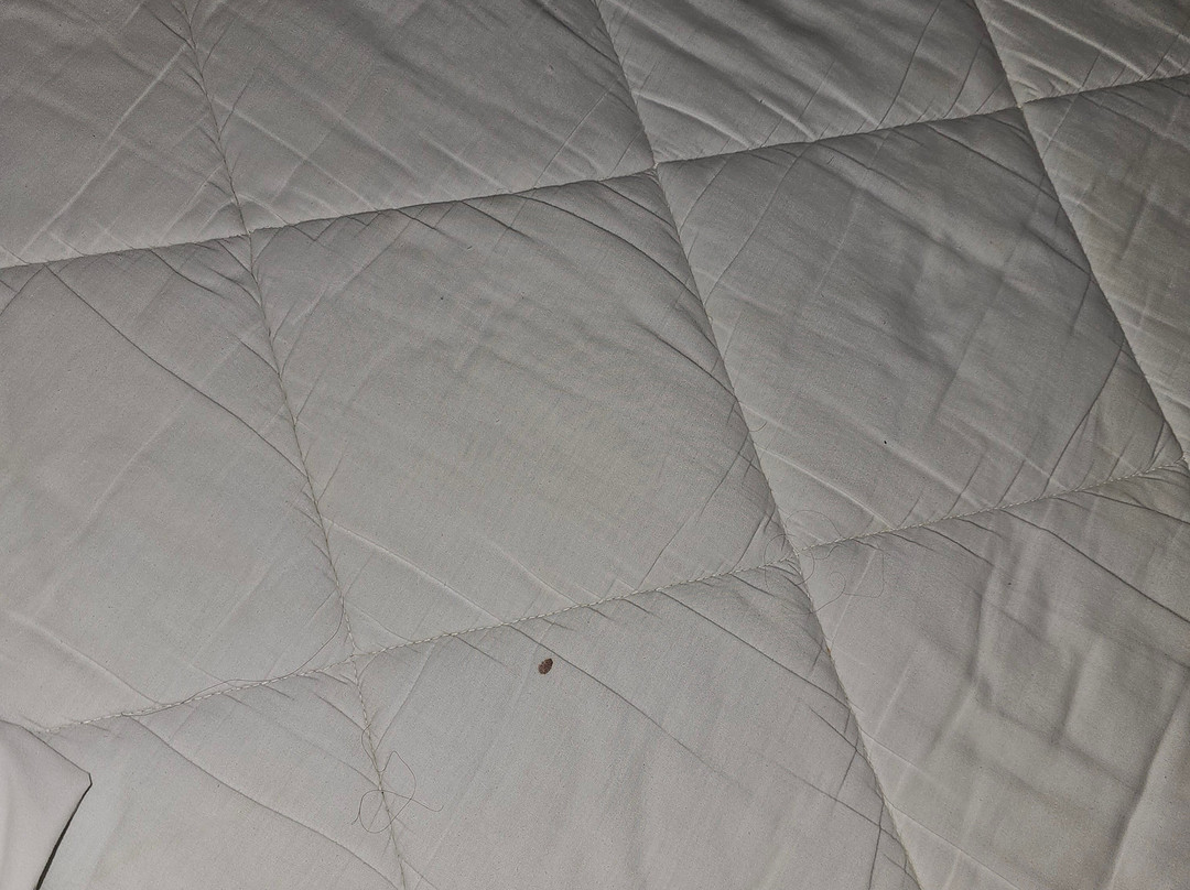 Days Inn by Wyndham Cornelia主图