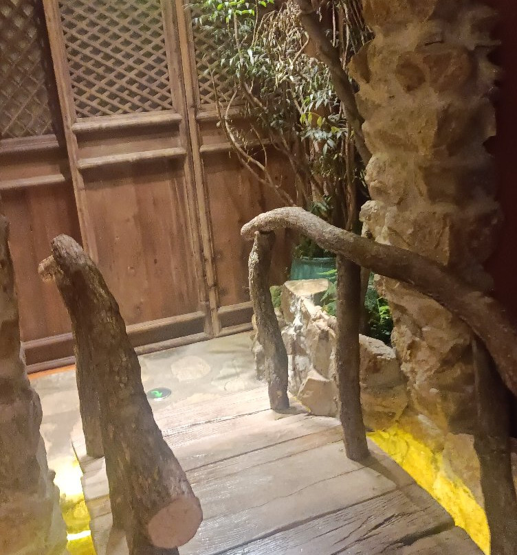 草木禅房东四店主图