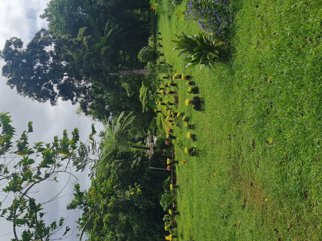 Fuipisia Waterfall-Upolu必去景点