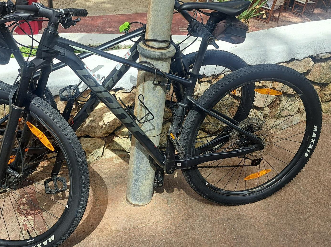 A Roda-阿拉约尔必去景点