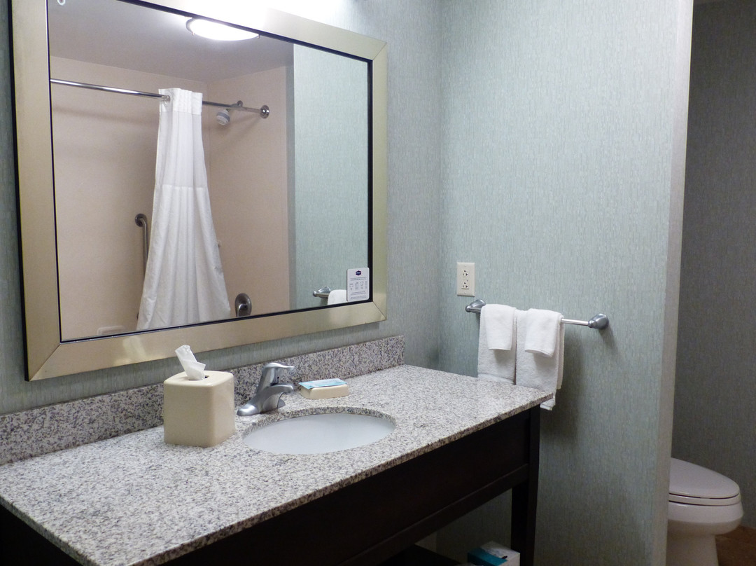 Hampton Inn Pittsburgh-Bridgeville主图