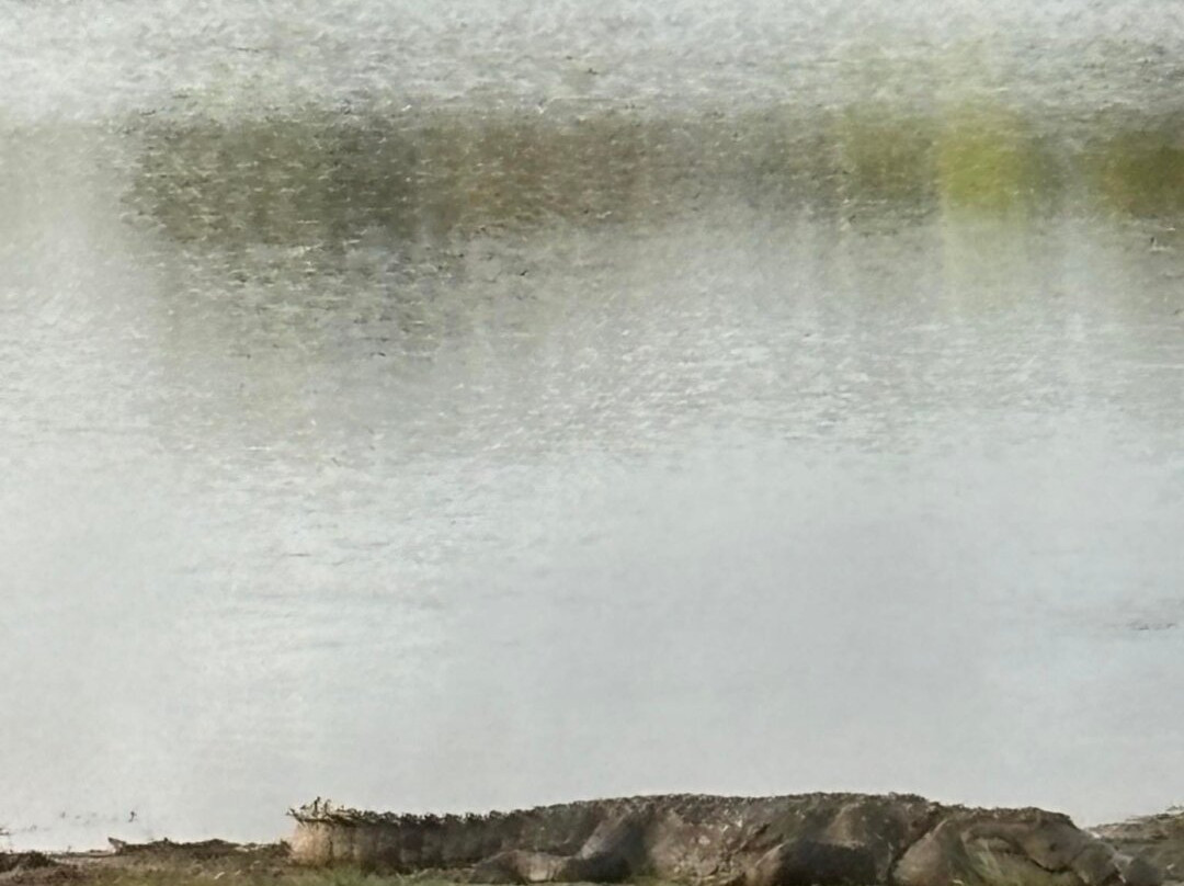 Tree Tops Yala主图