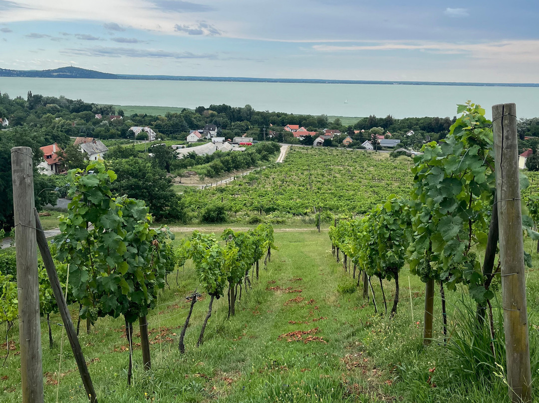 Lake Balaton景点图片