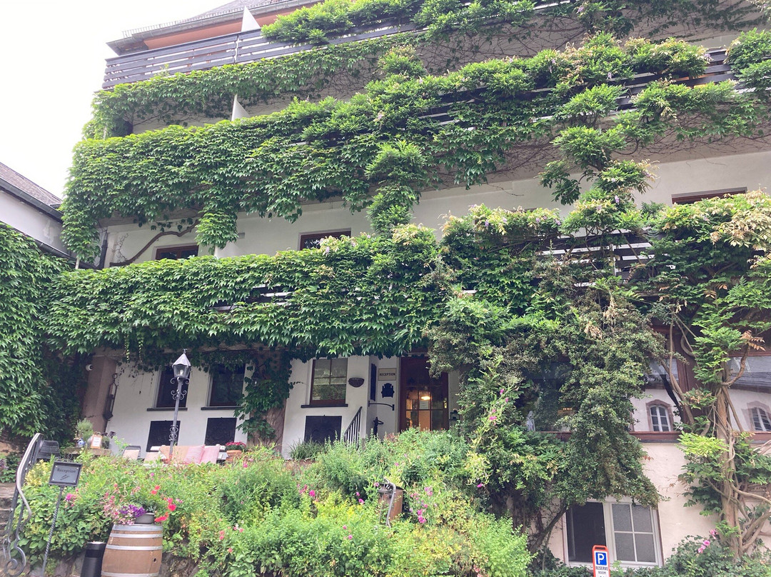 海因茨酒店主图