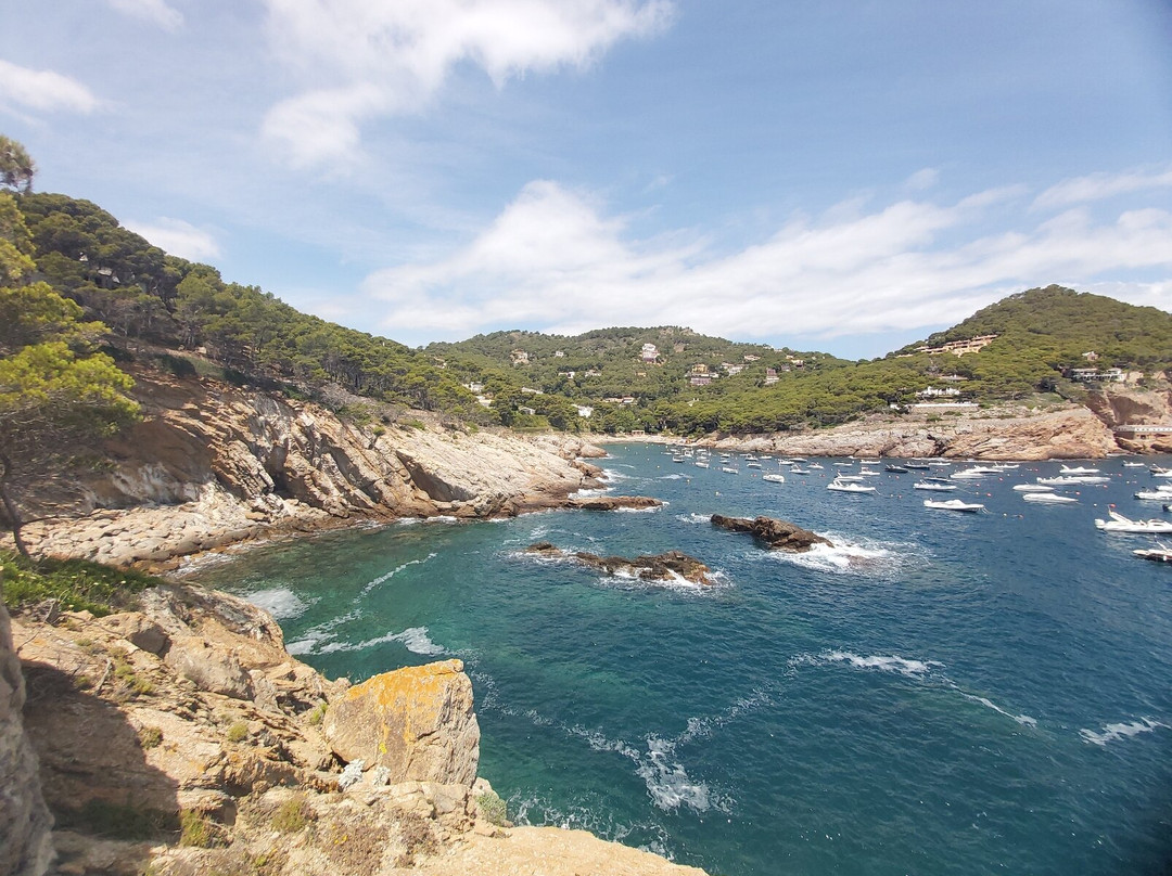 Cala d'Aiguafreda景点图片