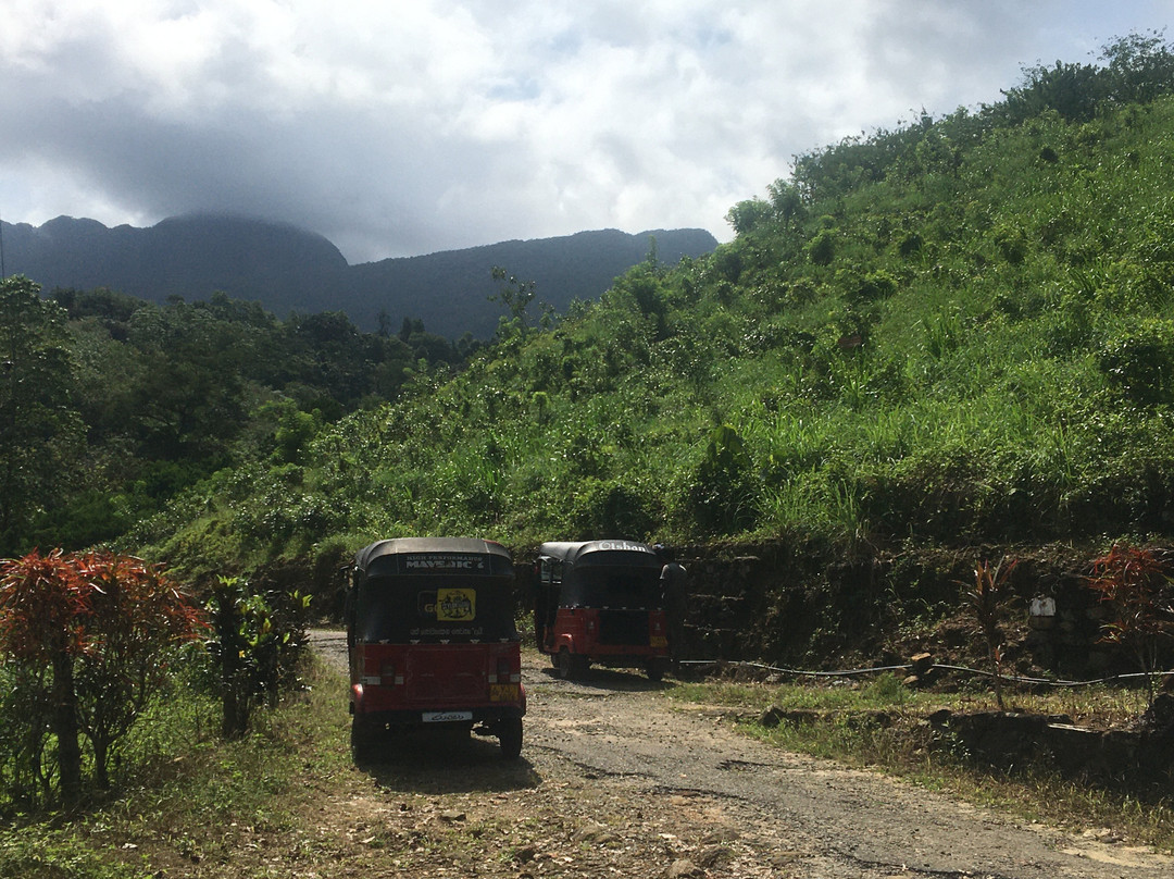 Xclusive Adventures - Day Tours景点图片