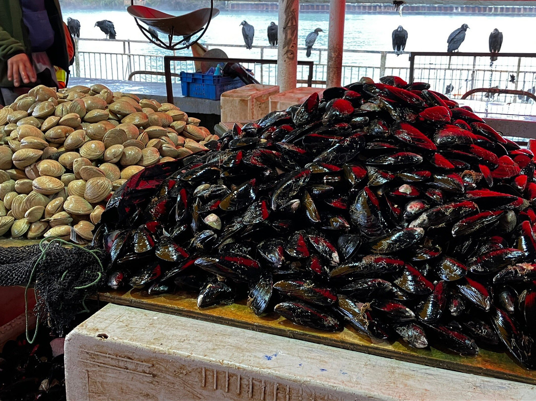 Feria Fluvial de Valdivia-瓦尔迪维亚必去景点