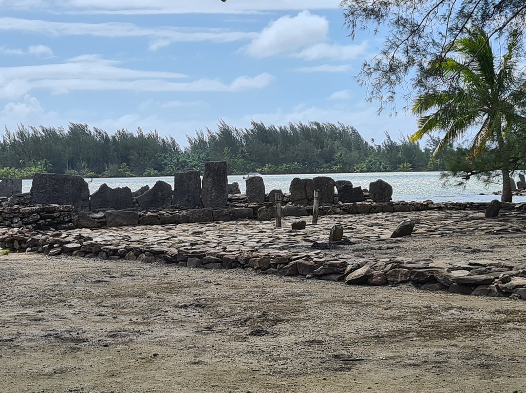 Island Eco Tours : Huahine景点图片