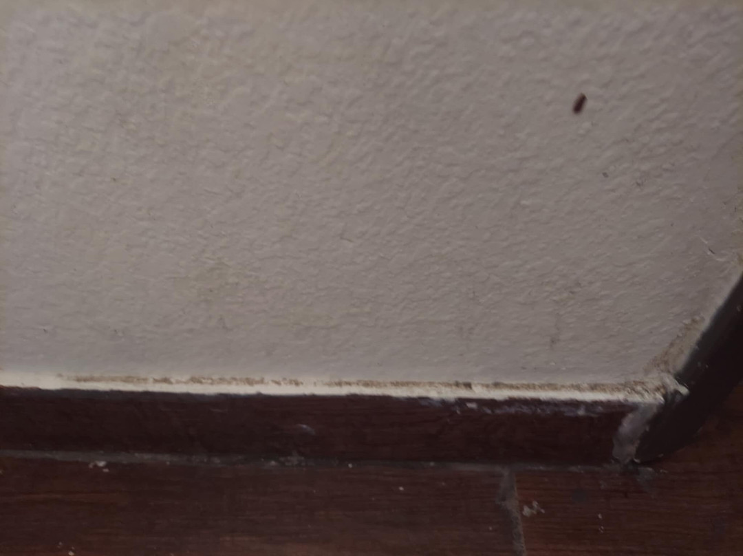 特洛克Travelodge by Wyndham酒店主图