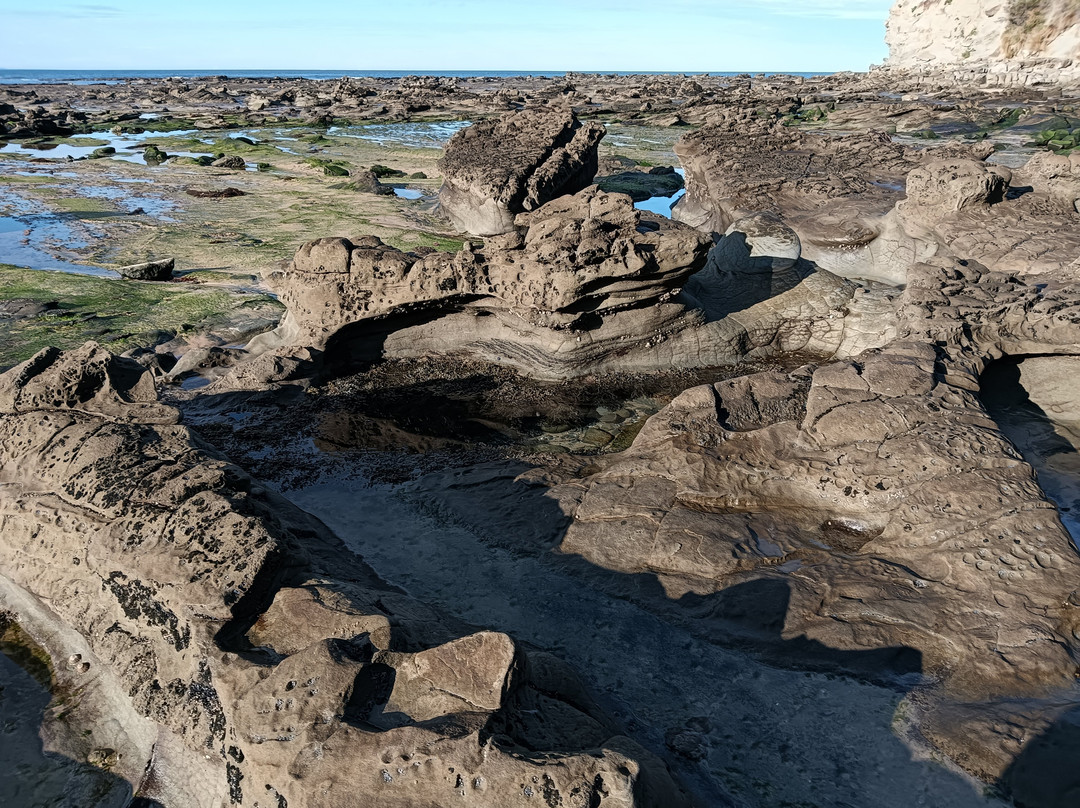 Dinosaur Dreaming-Inverloch必去景点