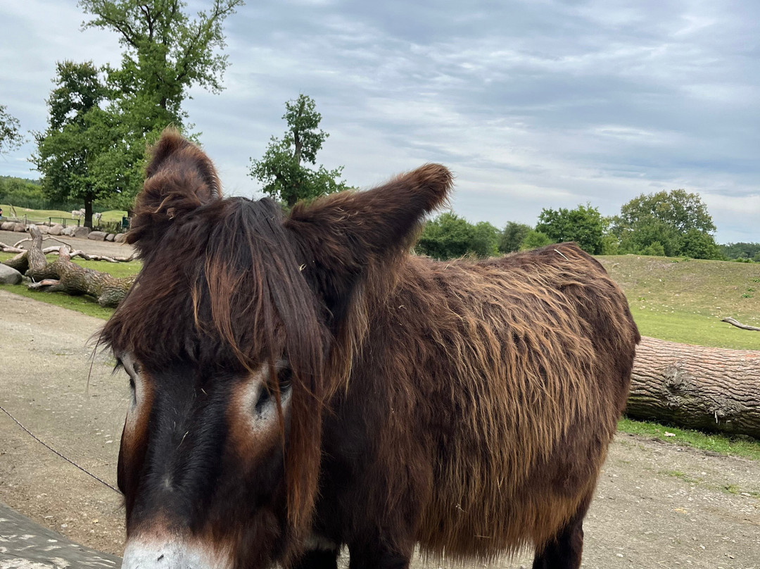 Tierpark Essehof-Lehre必去景点