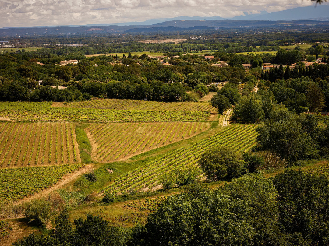 La Maison du Cru Lirac-Lirac必去景点
