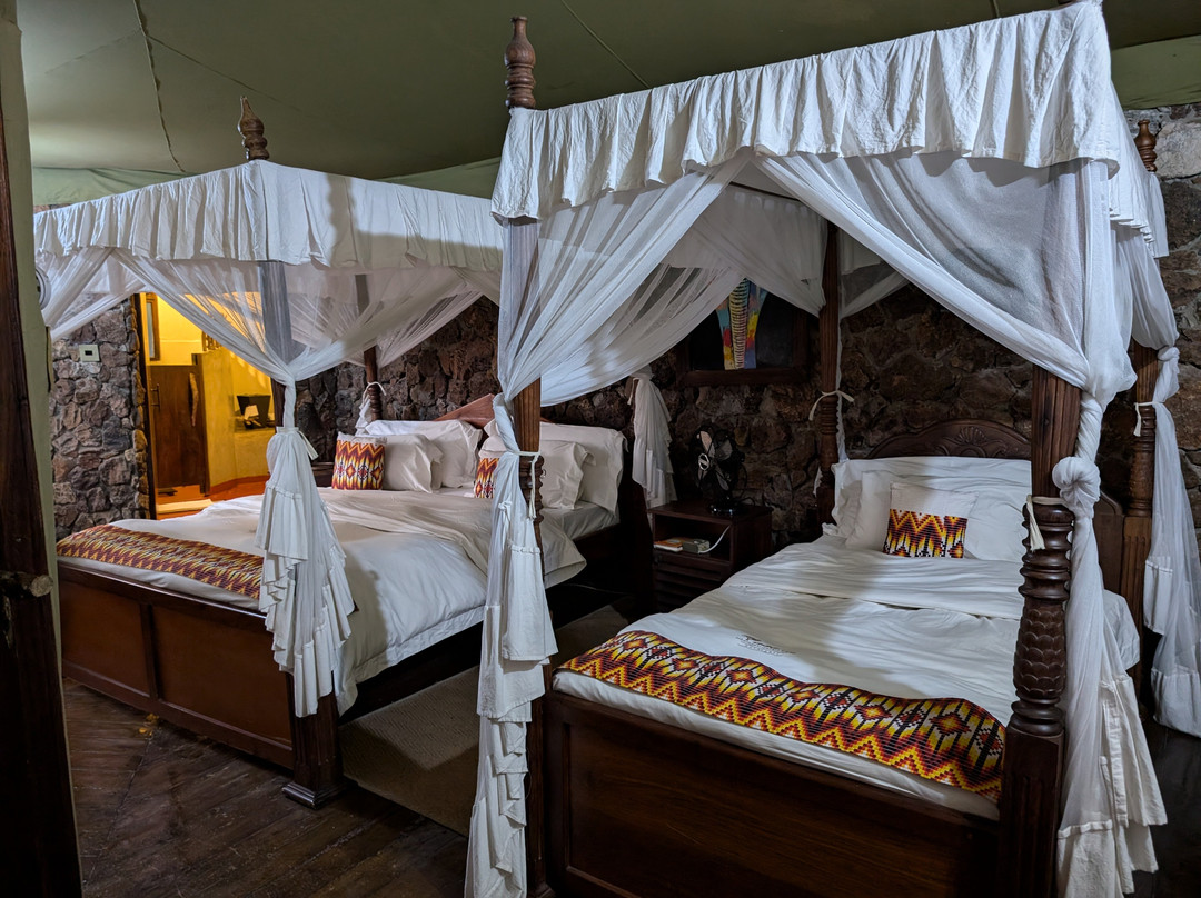 Mbalageti Safari Camp主图