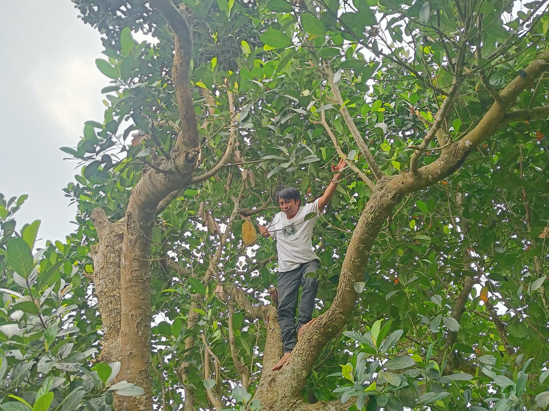 Jaya Tetebatu Tour Guide-Tetebatu必去景点