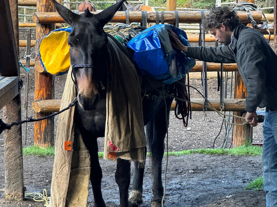 The Trail Riders of the Canadian Rockies-班夫必去景点