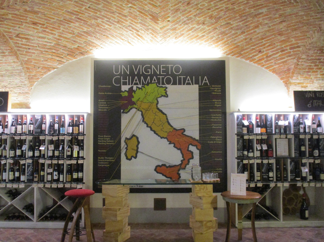 Banca del Vino-Pollenzo必去景点