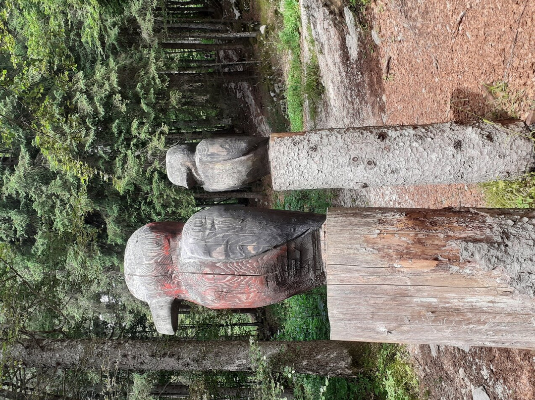 SelvArt - Parco Arte Natura景点图片