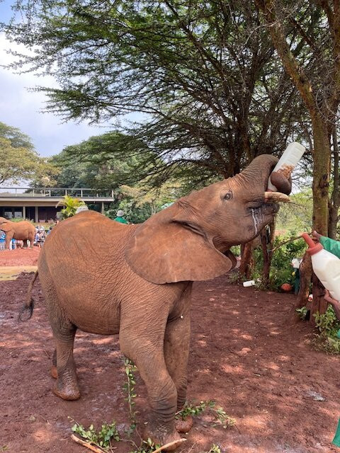 Comfort Gardens主图