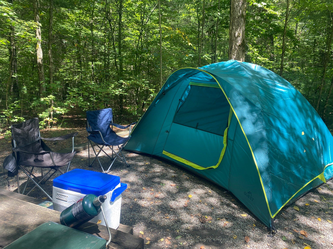 Lake Powhatan Recreation Area & Campground-阿什维尔必去景点