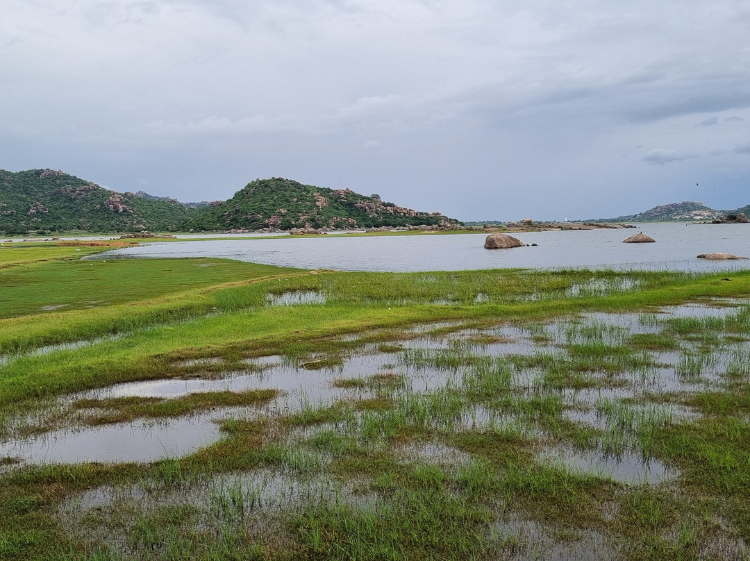 Koilsagar Dam景点图片
